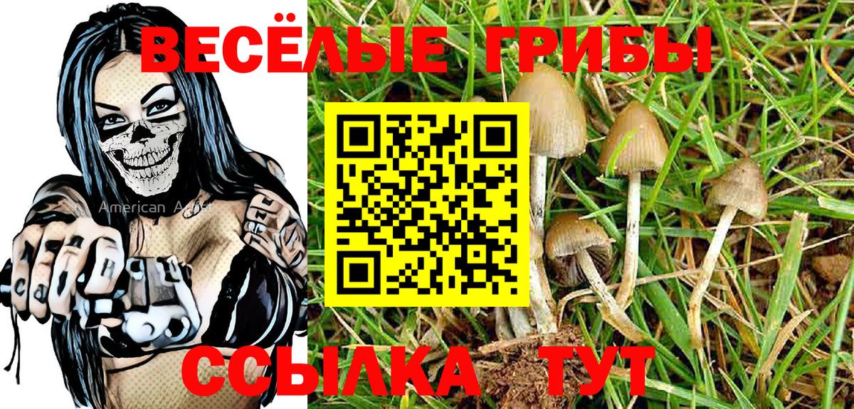 Трёхгорный  как найти наркотики  Вход с VPN  Псилоцибиновые грибы Psilocybine cubensis 