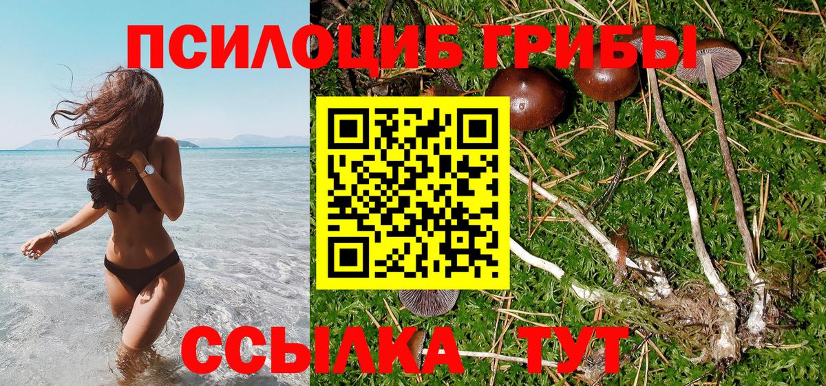 Галлюциногенные грибы Psilocybine cubensis Трёхгорный